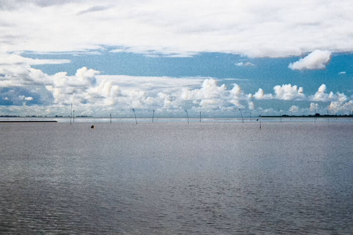 Husumer Bucht